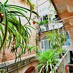 Palazzo